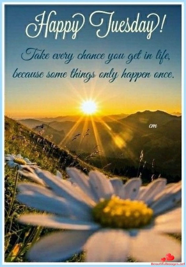 50 Best Happy Tuesday Quotes and Sayings with Pictures - picture 8
