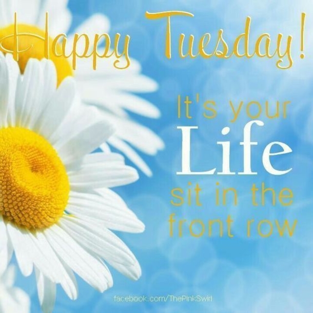 50 Best Happy Tuesday Quotes and Sayings with Pictures - picture 9