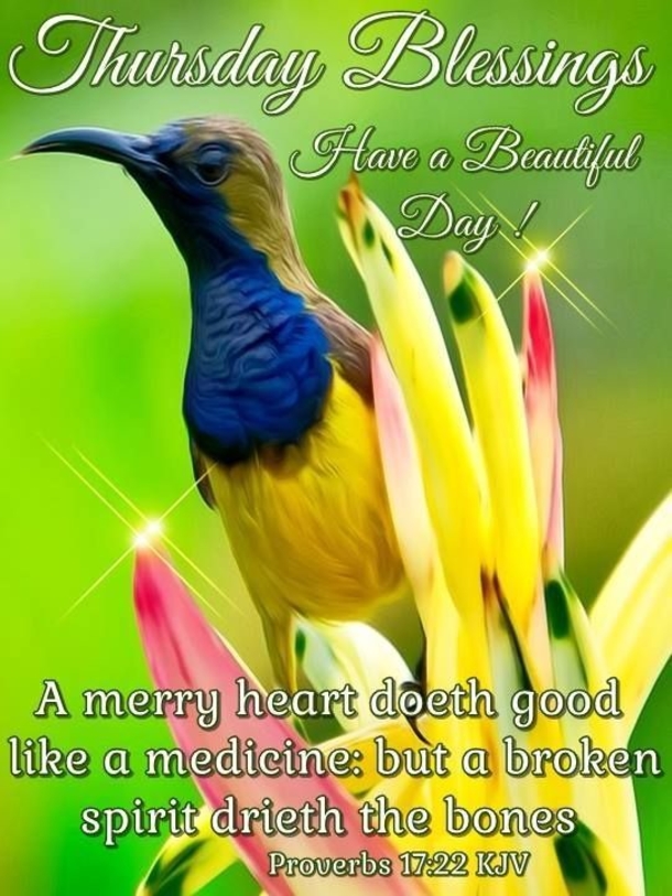 50 Best Thursday Images To Fill Your Day With Happiness - picture 3