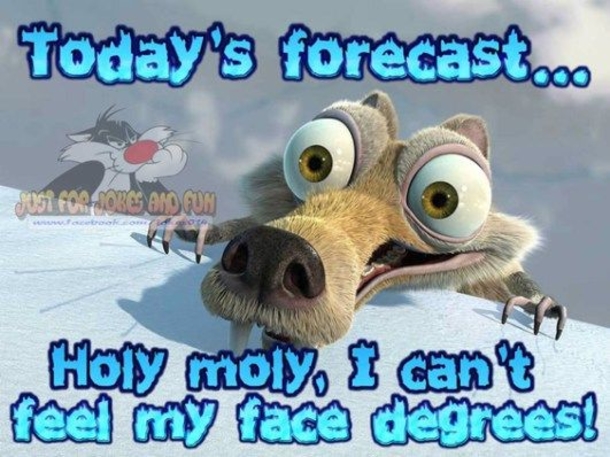 50 Christmas & Winter Good Morning Quotes - picture 13
