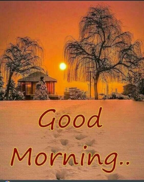 50 Christmas & Winter Good Morning Quotes - picture 31
