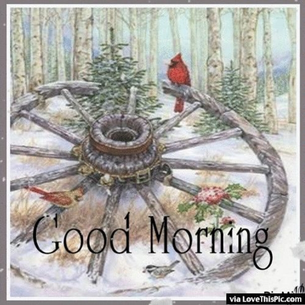 50 Christmas & Winter Good Morning Quotes - picture 32