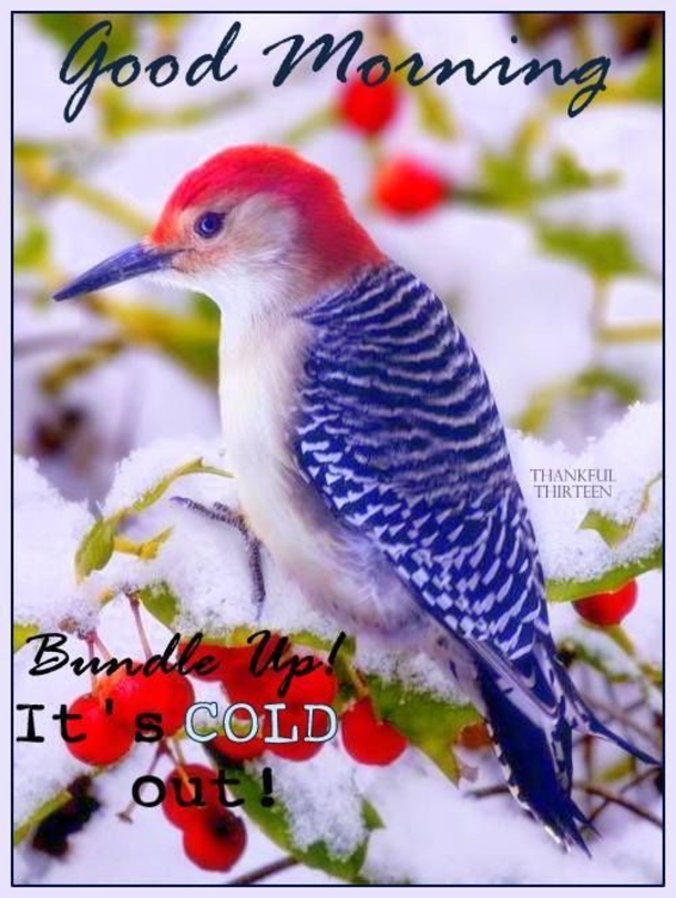 50 Christmas & Winter Good Morning Quotes - picture 37