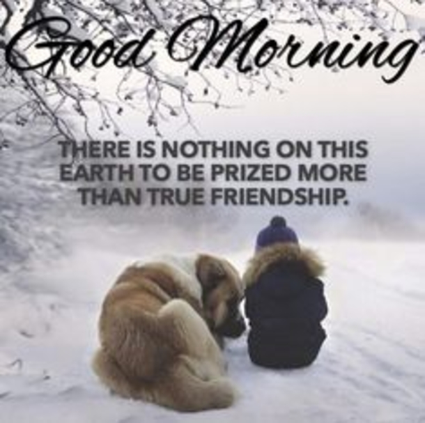 50 Christmas & Winter Good Morning Quotes - picture 44