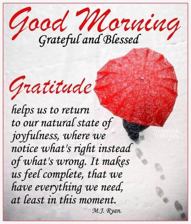 50 Christmas & Winter Good Morning Quotes - picture 45