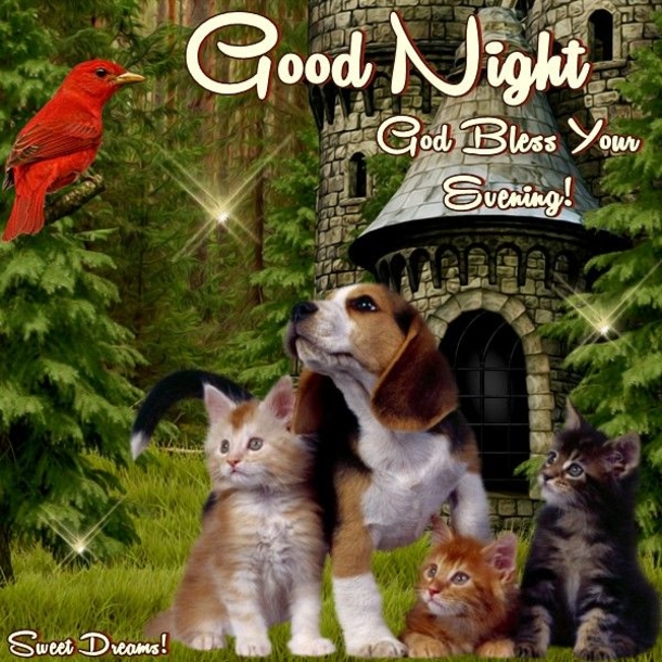 50+ Deep Good Night Wishes, Messages And Quotes - picture 4
