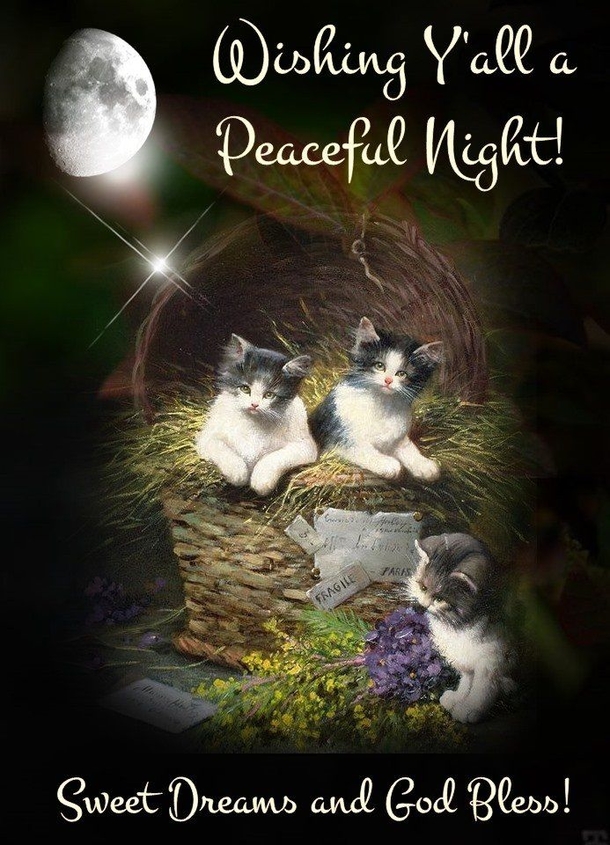 50+ Deep Good Night Wishes, Messages And Quotes - picture 5