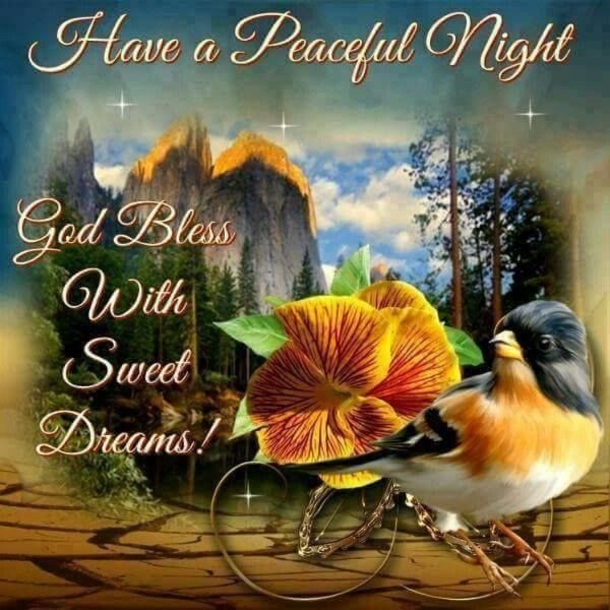50+ Deep Good Night Wishes, Messages And Quotes - picture 6