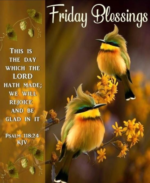 50 Friday Images, Greetings, Wishes And Quotes - picture 25