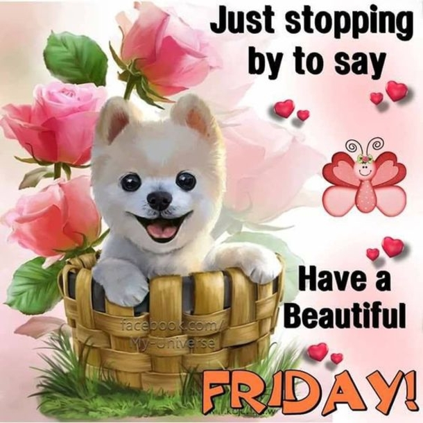 50 Friday Images, Greetings, Wishes And Quotes - picture 27