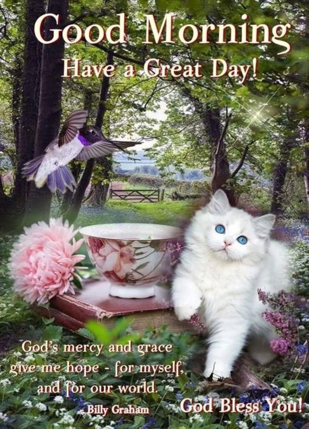 50 Good Morning Quotes For Family, Friends & Loved Ones - picture 10