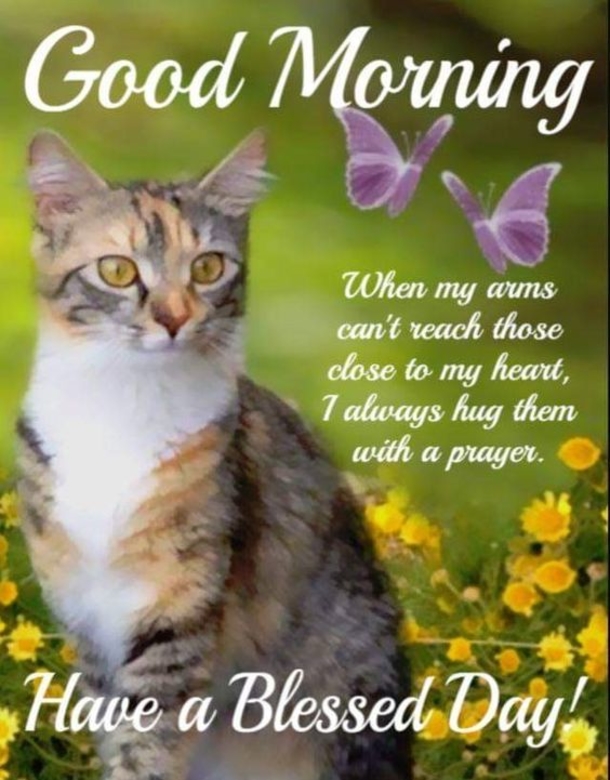 50 Good Morning Quotes For Family, Friends & Loved Ones - picture 11