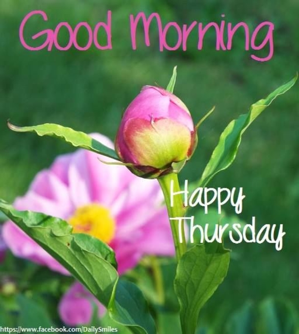 50+ Good Morning Thursday Quotes & Sayings - picture 15
