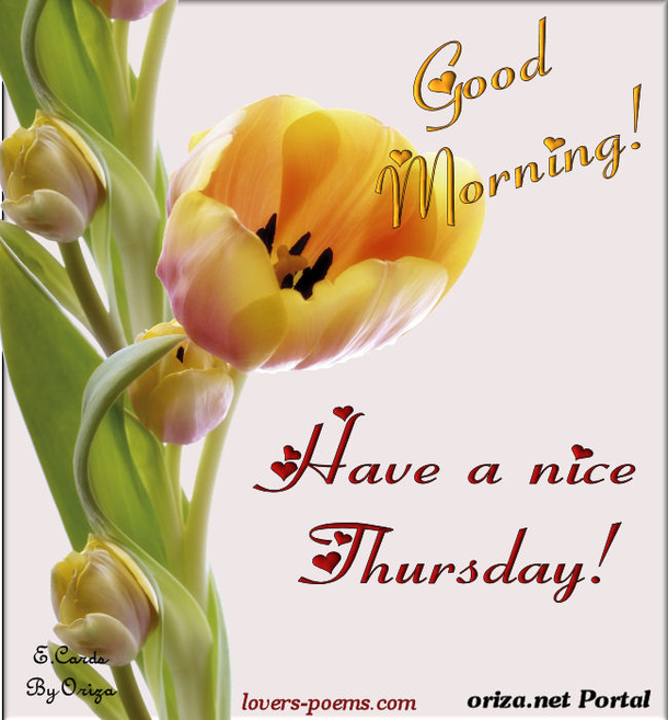 50+ Good Morning Thursday Quotes & Sayings - picture 17