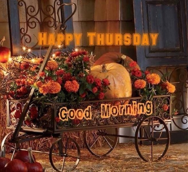 50+ Good Morning Thursday Quotes & Sayings - picture 46