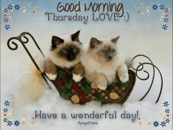 50+ Good Morning Thursday Quotes & Sayings - picture 48