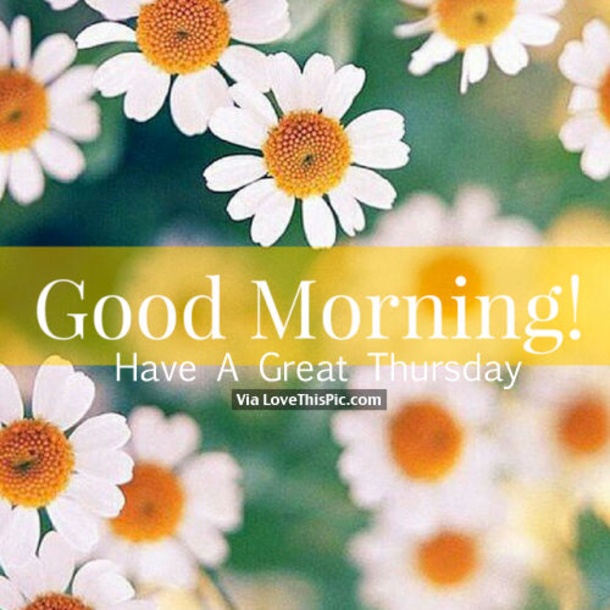 50+ Good Morning Thursday Quotes & Sayings - picture 55