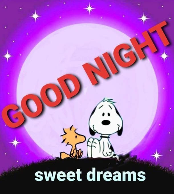 50 Good Night Quotes Full Of Love, Blessings & Prayers - picture 8