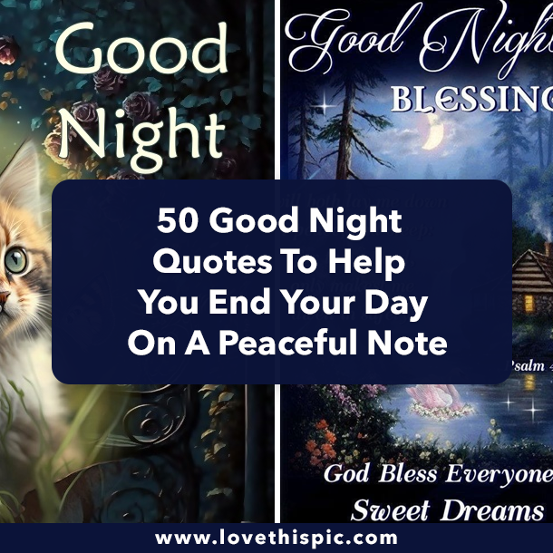 50 Good Night Quotes To Help You End Your Day On A Peaceful Note