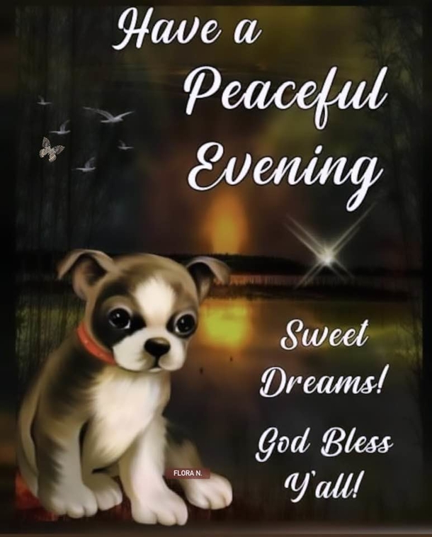 50 Good Night Quotes To Help You End Your Day On A Peaceful Note - picture 4