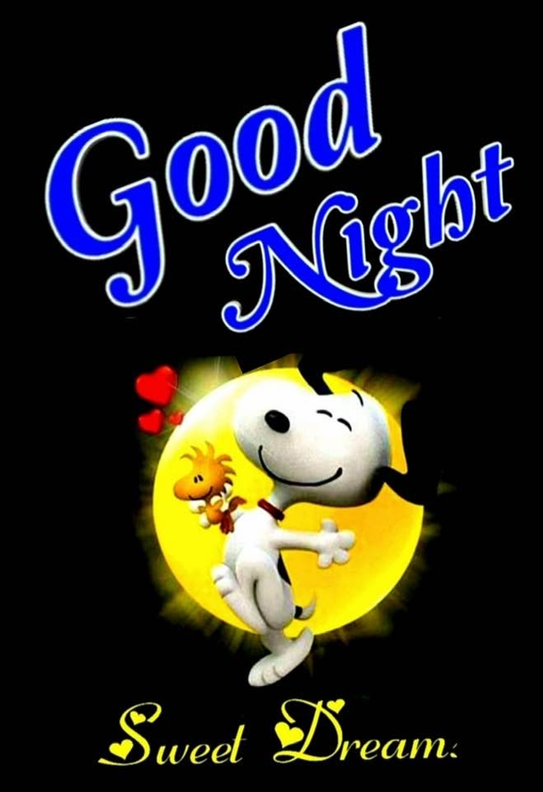 50 Good Night Quotes To Help You End Your Day On A Peaceful Note - picture 8