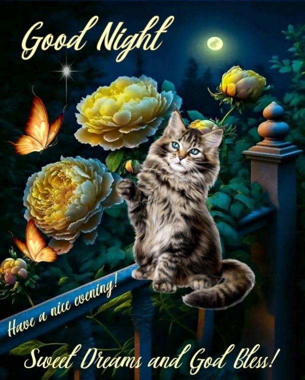 50 Good Night Quotes To Help You End Your Day On A Peaceful Note - picture 9