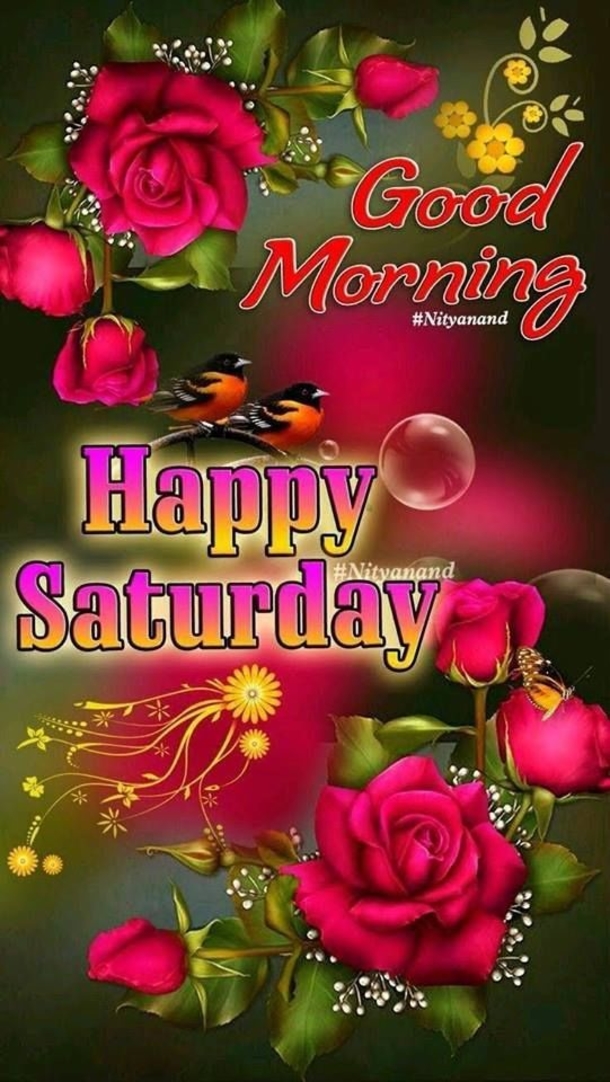 50 Happy Saturday Images & Quotes To Share - picture 13