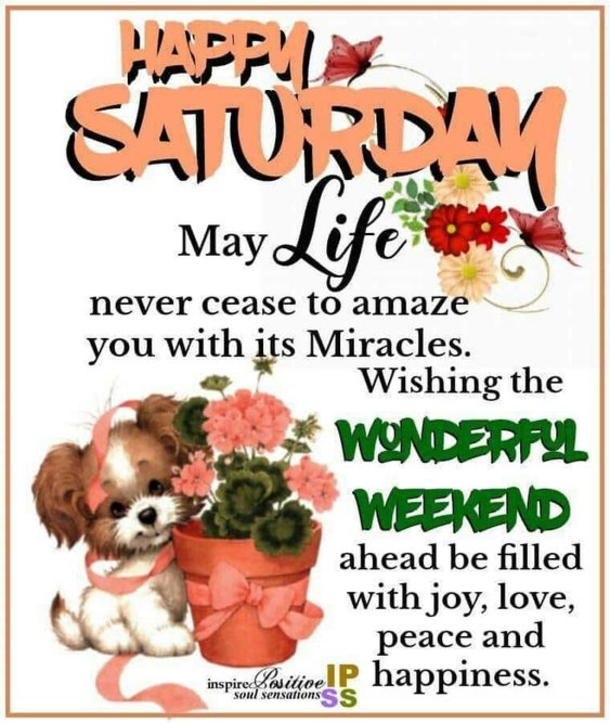 50 Happy Saturday Images & Quotes To Share - picture 15