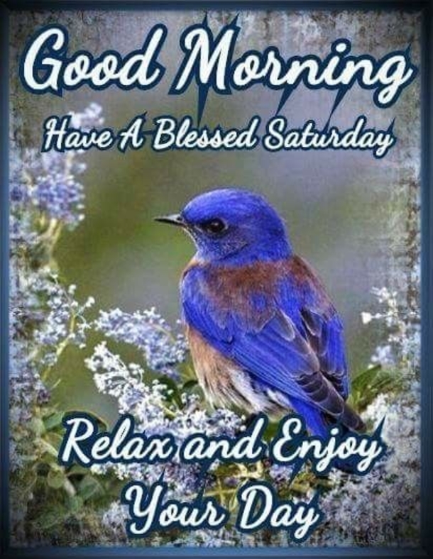 50 Happy Saturday Images & Quotes To Share - picture 19