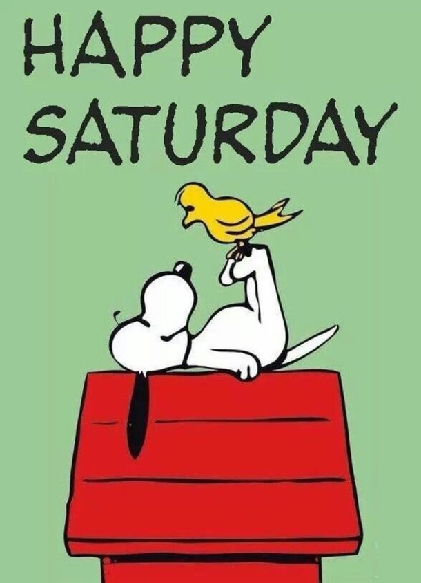 50 Happy Saturday Images & Quotes To Share - picture 23