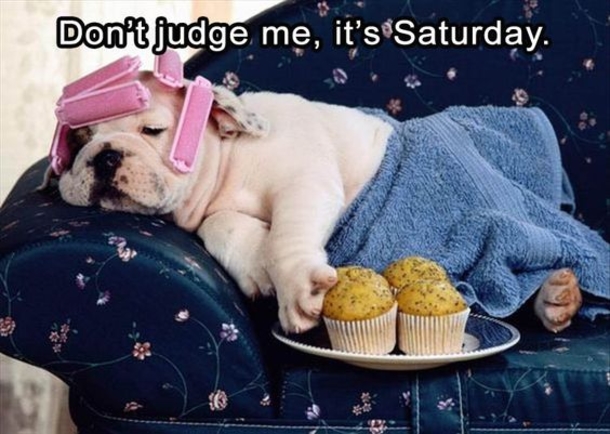 50 Happy Saturday Images & Quotes To Share - picture 25