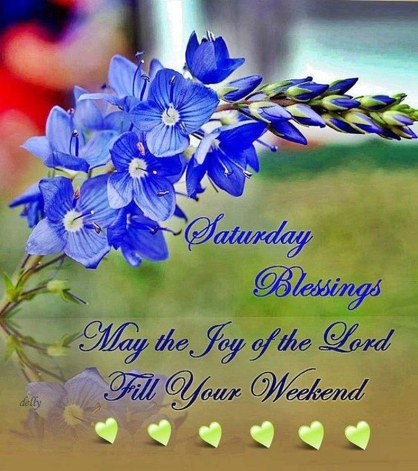 50 Happy Saturday Images & Quotes To Share - picture 30