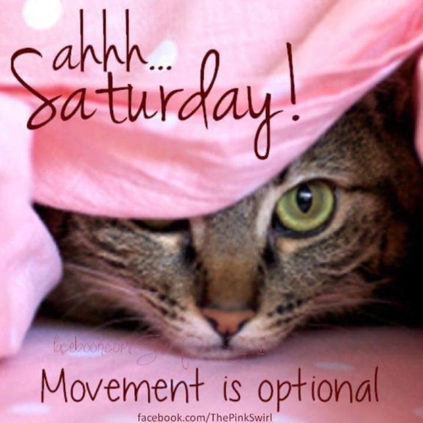 50 Happy Saturday Images & Quotes To Share - picture 44