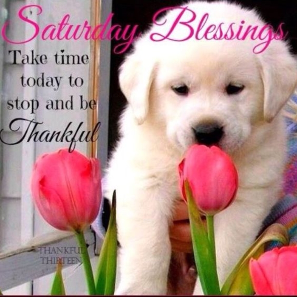 50 Happy Saturday Images & Quotes To Share - picture 45
