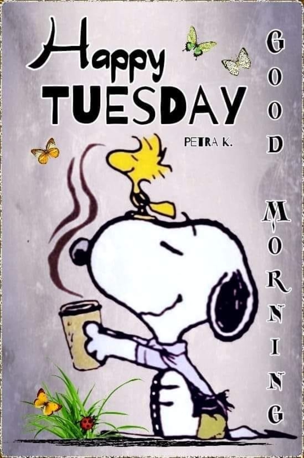 50+ Happy Tuesday Quotes Filled With Happiness And Joy - picture 2