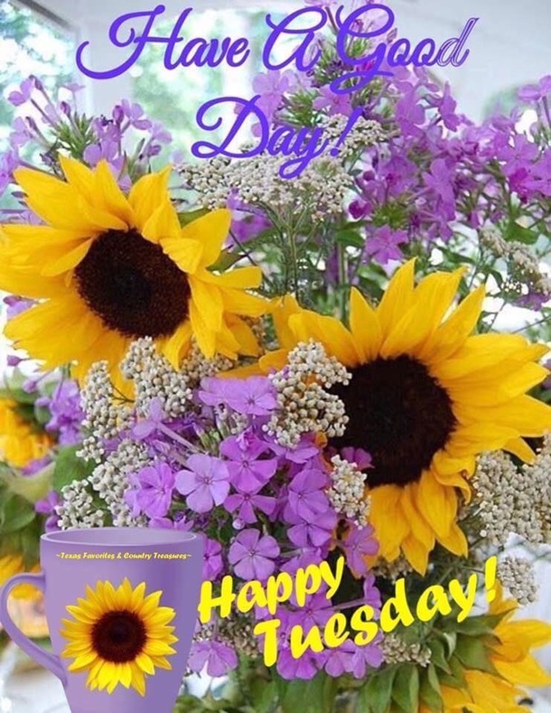 50+ Happy Tuesday Quotes Filled With Happiness And Joy - picture 3