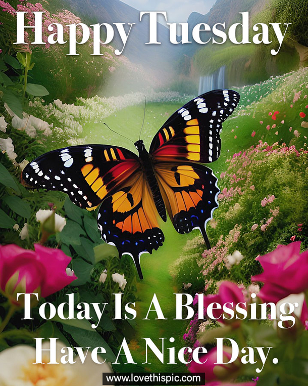 50+ Happy Tuesday Quotes Filled With Happiness And Joy - picture 4