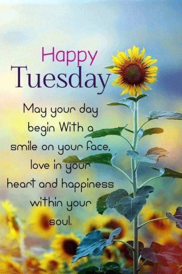 50+ Happy Tuesday Quotes Filled With Happiness And Joy - picture 6