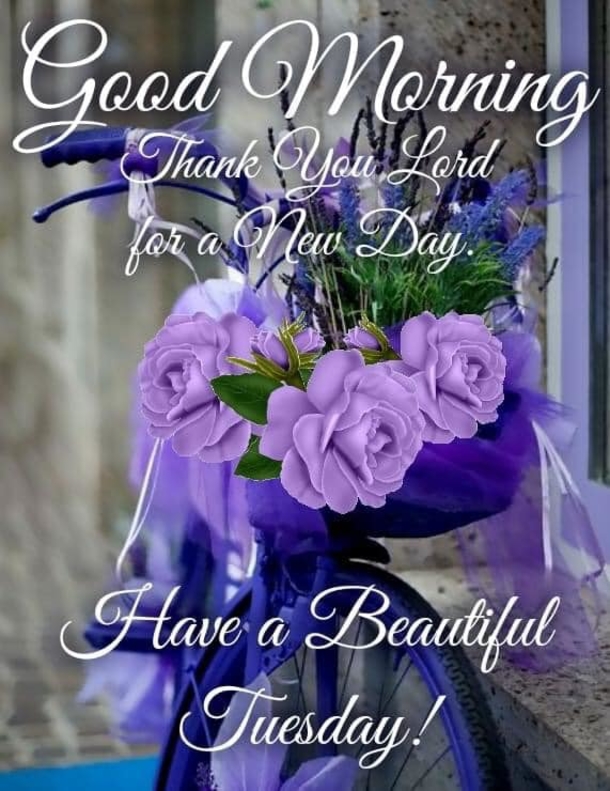 50+ Happy Tuesday Quotes Filled With Happiness And Joy - picture 7