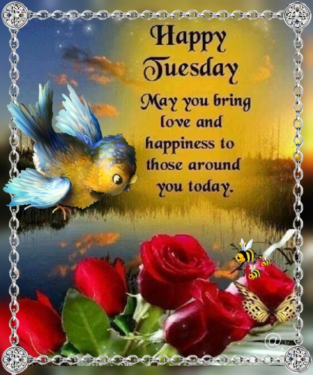 50+ Happy Tuesday Quotes Filled With Happiness And Joy - picture 8