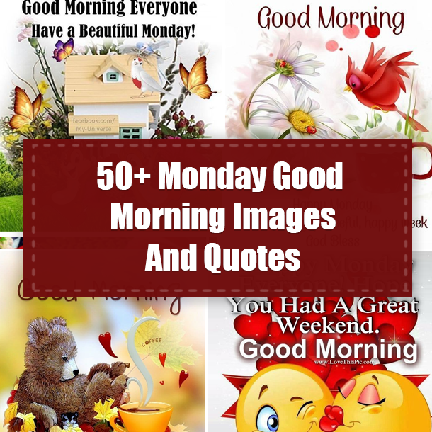 50+ Monday Good Morning Images And Quotes