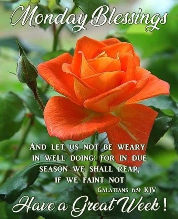 50 Of The Best Monday Quotes And Images To Love And Share - picture 16