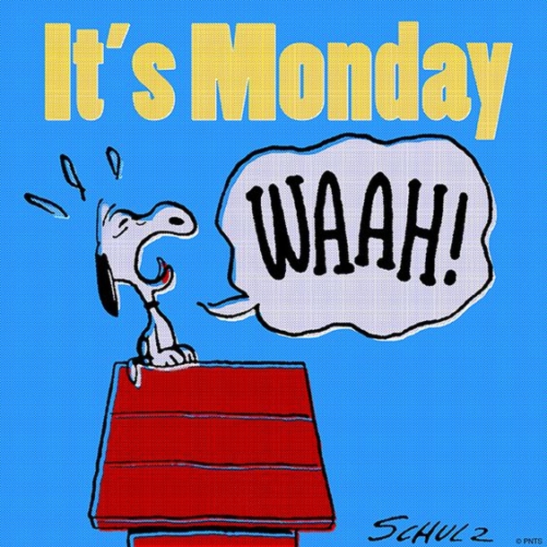 50 Of The Best Monday Quotes And Images To Love And Share - picture 17