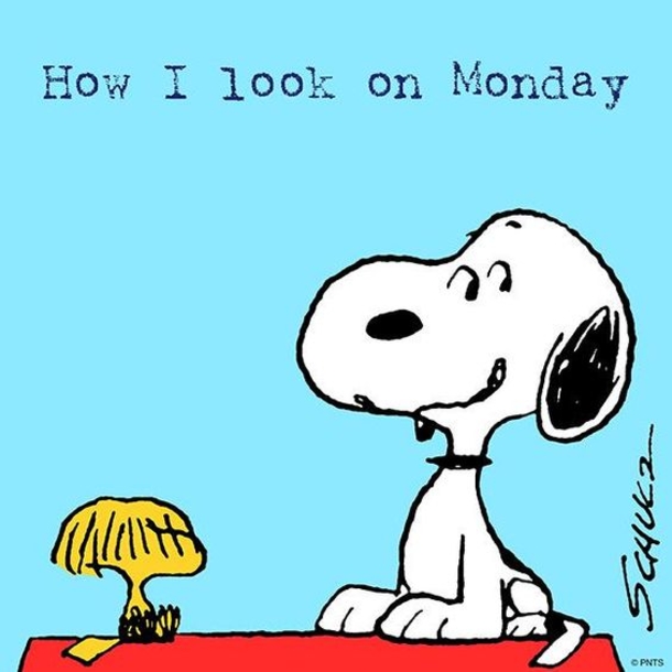 50 Of The Best Monday Quotes And Images To Love And Share - picture 18