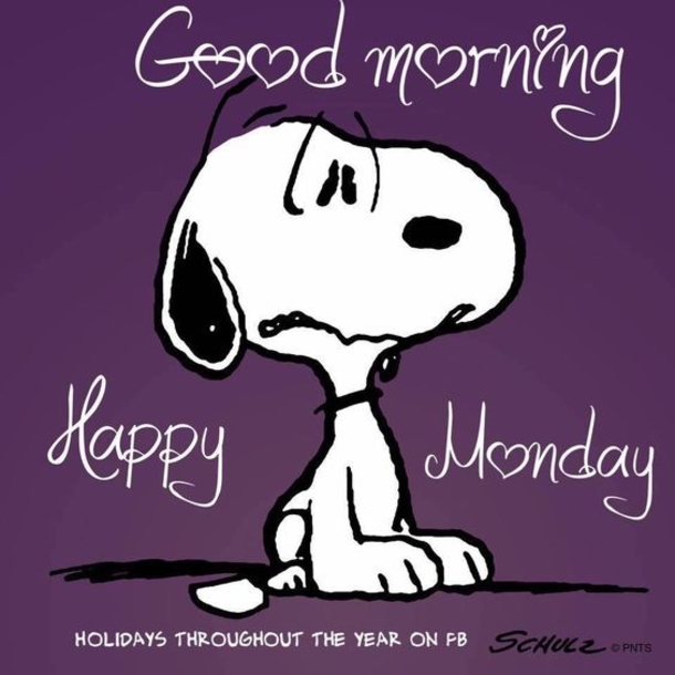 50 Of The Best Monday Quotes And Images To Love And Share - picture 19