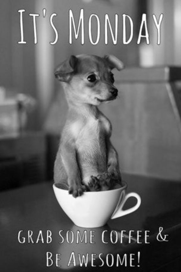 50 Of The Best Monday Quotes And Images To Love And Share - picture 2