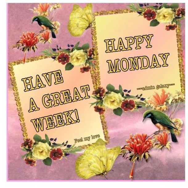 50 Of The Best Monday Quotes And Images To Love And Share - picture 38