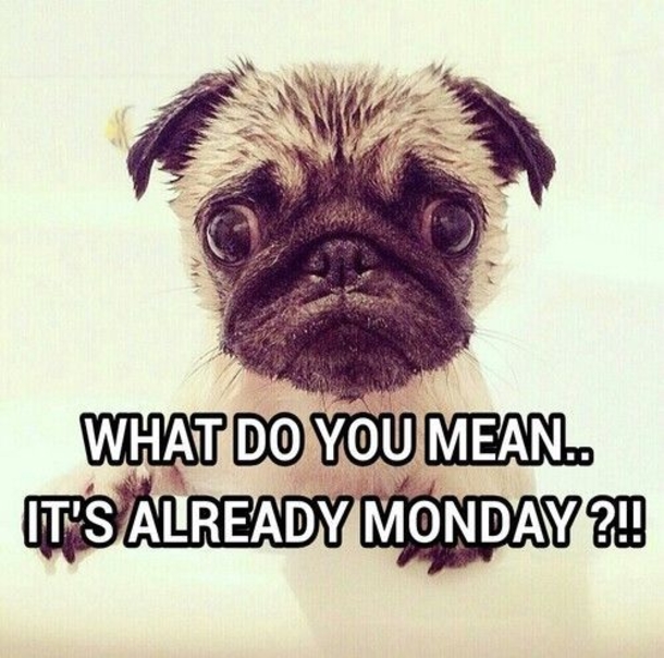 50 Of The Best Monday Quotes And Images To Love And Share - picture 45