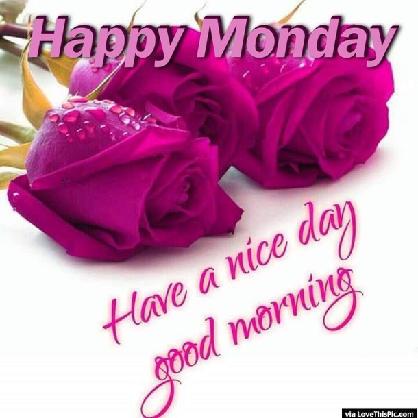 50 Of The Best Monday Quotes And Images To Love And Share - picture 47
