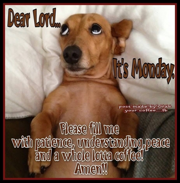 50 Of The Best Monday Quotes And Images To Love And Share - picture 49